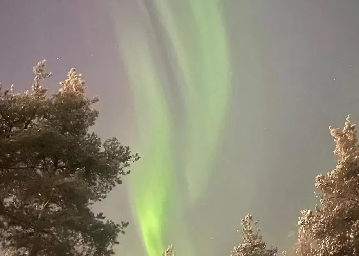 Дом отдыха Borealis Forest House With Private Sauna *